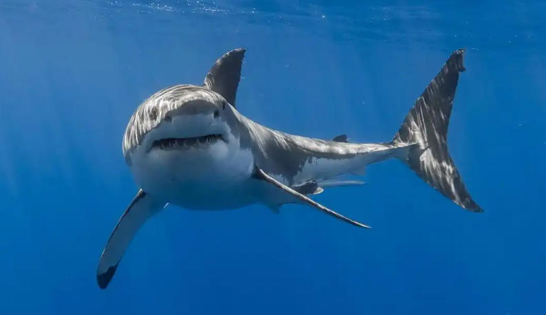 上海泽宇智能科技有限公司轮播图4